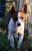 Enlarge photo 34
