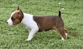 Enlarge photo 40