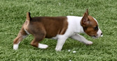 Enlarge photo 39