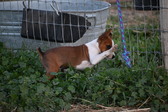 Enlarge photo 29