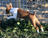 Enlarge photo 19