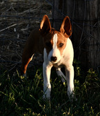 Enlarge photo 15