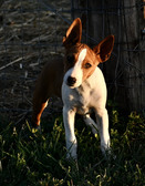 Enlarge photo 14