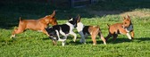 Enlarge photo 23
