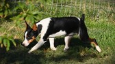 Enlarge photo 8