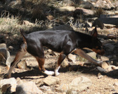 Enlarge photo 26