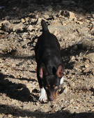 Enlarge photo 22