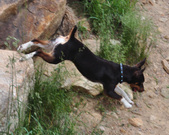 Enlarge photo 35