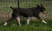 Enlarge photo 71