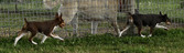 Enlarge photo 72