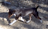 Enlarge photo 7