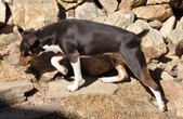 Enlarge photo 4