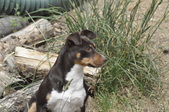Enlarge photo 6