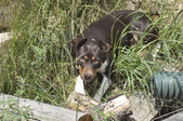 Enlarge photo 9