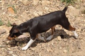 Enlarge photo 10