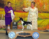 Enlarge photo 47