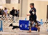 Enlarge photo 34
