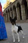 Enlarge photo 39