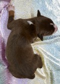 Enlarge photo 11