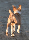 Enlarge photo 16