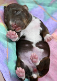 Enlarge photo 24