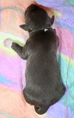 Enlarge photo 25