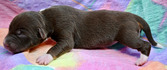 Enlarge photo 27