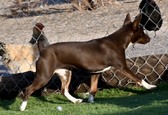 Enlarge photo 32