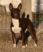 K2'S HOW SWEET IT IS