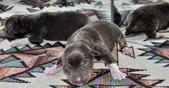 Enlarge photo 19