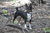 Enlarge photo 12