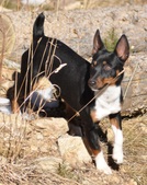 Enlarge photo 10