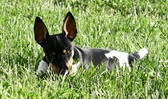 Enlarge photo 10