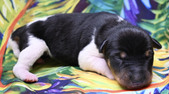 Enlarge photo 20