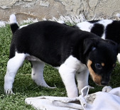 Enlarge photo 14