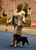 Enlarge photo 22