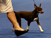 Enlarge photo 24