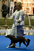 Enlarge photo 21