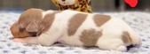 Enlarge photo 28