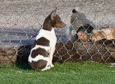 Enlarge photo 4