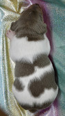 Enlarge photo 34