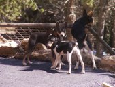 Enlarge photo 67