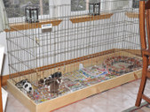 Enlarge photo 38