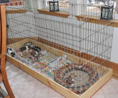 Enlarge photo 39
