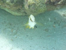 Enlarge photo 18