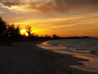 Enlarge photo 29