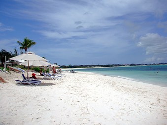 2006 Coral Gardens