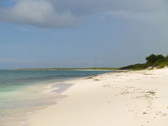 Enlarge photo 44