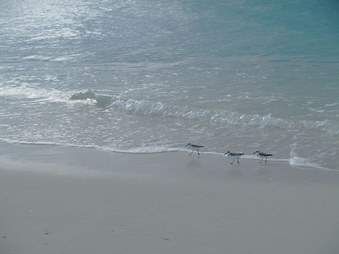 Enlarge photo 17