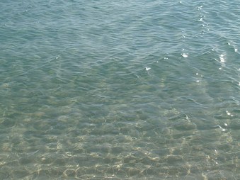 Enlarge photo 50
